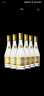 汾酒 黄盖玻汾 清香型白酒 48度 475mL 6瓶 整箱装 口粮酒 实拍图