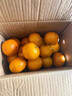 广西武鸣沃柑2025橘子新鲜水果当季一级沙糖蜜橘砂糖柑橘大果 中果(单果径60-65mm) 净重3斤 实拍图