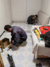 区巢【评价2万+】实木悬浮床真皮头层牛皮主卧大床双人床广东佛山家具 单床+柜*1+双面床垫【带感应灯】 1.8米*2米支架结构 实拍图