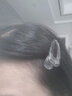 清晨的星星韩国网红新款树脂透明琥珀发夹女固定头发顶夹刘海小夹子头饰发卡 果冻蓝灰-小号 实拍图