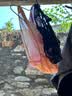 莫代尔 女式内裤轻薄舒适透气性感诱惑迷人少女蕾丝无痕三角裤 粉色+肤色+黑色 3条 M 体重80-120斤 实拍图