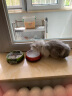 多格漫日本和风水晶猫狗碗喂食器防滑宠物饭碗水碗 茶绿色 猫用 实拍图