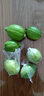 马保果海南青柠檬应季新鲜青柠薄皮绿肉柑绿鲜柠檬 实拍图