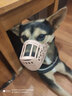 养只宠物（YOUNGER PET）狗狗嘴套防咬防叫防乱吃口罩小型犬宠物嘴罩泰迪用品大型狗套狗罩 尼龙绑带狗嘴套 5号（嘴围28cm以内35-55斤） 实拍图