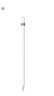 Apple/苹果 Pencil (第一代) 含USB-C转换器 触控笔手写笔苹果笔电容笔 适用部分iPad Pro/iPad Air等 实拍图