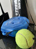 红双喜网球初学者高弹性耐打训练网球耐磨初中级比赛训练器网球 耐打网球三只装无穿线孔不带线 实拍图