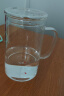 雅集豪饮杯玻璃杯办公室 耐热大容量水杯 男士带盖泡茶杯子850ml 实拍图