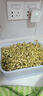 贝净洁豆芽发芽盆家用自制豆芽机发豆芽专用盆神器黄豆绿豆发芽罐 一层发豆芽盆-天空蓝 实拍图