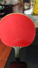 红双喜DHS 无机胶水乒乓球拍胶皮打底用水溶性粘合剂 50ML 实拍图