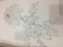 范本传真·白描花卉写生范本：百菊谱 实拍图