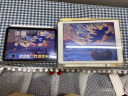 Apple【教育优惠】iPad mini 8.3英寸平板电脑 2021年款（64GB WLAN版/A15芯片 MK7R3CH/A） 紫色 晒单实拍图