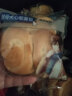 三只松鼠 酵母夹心软面包700g 早餐代餐手撕面包零食点心 实拍图