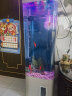 美诺鱼缸客厅半圆型鱼缸屏风大中小型家用落地式玻璃金鱼缸生态免换水 灰色 40*40*138 晒单实拍图