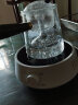 尚言坊煮茶器电陶炉家用煮茶炉全自动烧水壶泡茶茶具玻璃蒸汽煮茶壶 实拍图