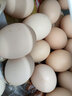 滇味十足 鸡蛋 新鲜农家林间散养土鸡蛋 月子蛋满月礼喜蛋农村笨鸡蛋 30枚装 实拍图