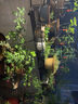 farmer bobo手机无线wifi远程控制浇花器家用自动定时浇水阳台盆栽雾化系统 双出手机控制器40米管40喷头 实拍图
