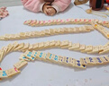 兰酷帕100片多米诺骨牌积木3-6岁儿童玩具女孩礼物早教认知双面数字汉字 实拍图