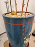爵遇良品紫砂花盆兰花盆大口径精品盆特大月季君子兰花盆国兰兰花专用盆 竹节高圆筒-天蓝色款 如图 实拍图
