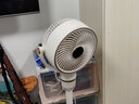 MORITA日本森田空气循环扇家用台立两用大风力广角定时立体3D送风电风扇 白色 米白色 实拍图