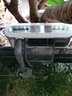 森森（SUNSUN） 鱼缸过滤器壁挂式外置过滤泵水族箱过滤器 HBL-701 8W【带除油膜】适合80以上鱼缸 实拍图
