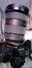 索尼（SONY） 微单相机镜头变焦镜头全画幅专业镜头适用于A7M4/A7M3/A7C/A7R5相机 G大师FE24-70mm F2.8 GM二代镜头 出厂标配 晒单实拍图