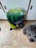 霍尔顿狗粮 宠物通用型犬通用天然狗粮 金毛拉布拉多泰迪 成犬5kg 实拍图