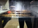 格兰仕（Galanz）【蝶翼系列】26L家用大容量 独立控温 下拉门智能控温 烤箱 蒸烤一体 多功能 蒸烤箱 5SG26T-D35 实拍图