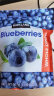 柯克兰（Kirkland）大粒整颗蓝莓干567g进口果干孕妇休闲零食大礼包花青素烘焙Costco 实拍图