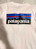 Patagonia 巴塔哥尼亜T恤夏季美式短袖复古后背山峰印花 白色 L（ 140-159斤） 实拍图