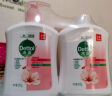 滴露（Dettol）【陈星旭同款】抑菌洗手液滋润500g+500g补充装替换 家庭儿童消毒 实拍图