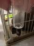 利其尔猫咪悬挂式饮水器狗狗猫笼子固定自动喝水器水碗 棕色 S号【现货】 实拍图