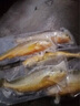 御泸鲜湘【顺丰发货】精选特大黄花鱼新鲜深海大黄鱼宁德黄花鱼1-2斤1条 5斤装【5条】回头客多 掌柜力荐 实拍图