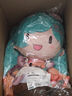 bilibilisega VOCALOID 初音未来 Preciality系列 毛绒玩偶fufu 雪未来2024（大fufu）赠独家特典 实拍图