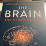 英文原版 大脑的故事 The Brain The Story of You 深入大脑 大卫伊格曼 实拍图