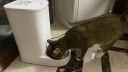小佩宠物智能自动喂食器SOLO猫咪 猫狗粮冻干定时投食远程控制储粮 SOLO喂食器(不锈钢碗版) 晒单实拍图