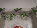 假花藤条阳台空调管 仿真玫瑰花藤拱门塑料花藤蔓绿植物花藤装饰 【玫瑰花藤浅紫】 实拍图