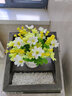 伊芙美小雏菊仿真花假花盆栽花艺摆件客厅家居餐桌办公室桌面装饰品摆设 28头粉色雏菊+陶瓷love瓶 实拍图