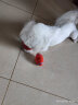宜特（EETOYS）小号乳胶橄榄球狗狗玩具趣味发声洁齿球乳胶球宠物狗玩具 晒单实拍图