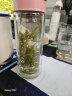 希诺抗菌玻璃杯双层透明水杯女高颜值过滤泡茶杯子XN-1951粉色 270mL 晒单实拍图