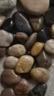 娴雅天然精抛光鹅卵石雨花石小石子鱼缸花盆园艺彩石头养鱼造景石头 混色 1~3cm 一元硬币大小 3斤装 实拍图