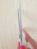 炊大皇 剪刀 厨房剪 家用办公剪子 多用剪 剪鸡骨剪肉  实拍图