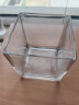 共度（Gong Du）玻璃方形金鱼缸办公桌绿萝水培家用创意小鱼缸小型迷你桌面乌龟缸 大号方形裸缸 15*15CM 实拍图