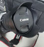 佳能（Canon）EOS R6 Mark II 新标准全画幅微单数码相机R6二代 单机身 （约40张每秒连拍/6K超采样4K短片） 晒单实拍图