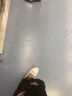 强人豆豆鞋女平底浅口单皮鞋舒适透气软面软底女鞋 JDA237030 灰色 40 实拍图