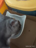 网易严选猫薄荷饼干宠物幼猫成猫猫咪零食饼干薄荷味 95克 实拍图