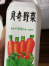 贝奇野菜汁450ml*15瓶整箱 每日C儿童果蔬汁饮料 0脂肪代餐蔬菜汁饮品 实拍图