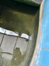 观赏螺冷水除藻黄金螺清洁鱼缸吃鱼龟粪便淡水好养易活工具螺活体 黄金螺2-3厘米6只送2只备损 晒单实拍图