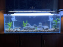 金利佳（Jeneca）鱼缸过滤器三合一吸水泵滤盒水族箱上滤上置循环过滤槽壁挂增氧 【白色双过滤器】适长90-107CM 实拍图