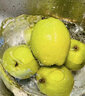 锁季新疆库尔勒香梨现摘新鲜水果脆甜香妃全母梨孕妇水果春节礼盒送礼 净重5斤精选小果 单果80-100g 实拍图