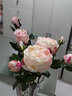 野派欧式复古保加利亚玫瑰仿真花束假花绢花客厅装饰陶瓷花瓶花艺摆件 单枝浅粉玫瑰 实拍图